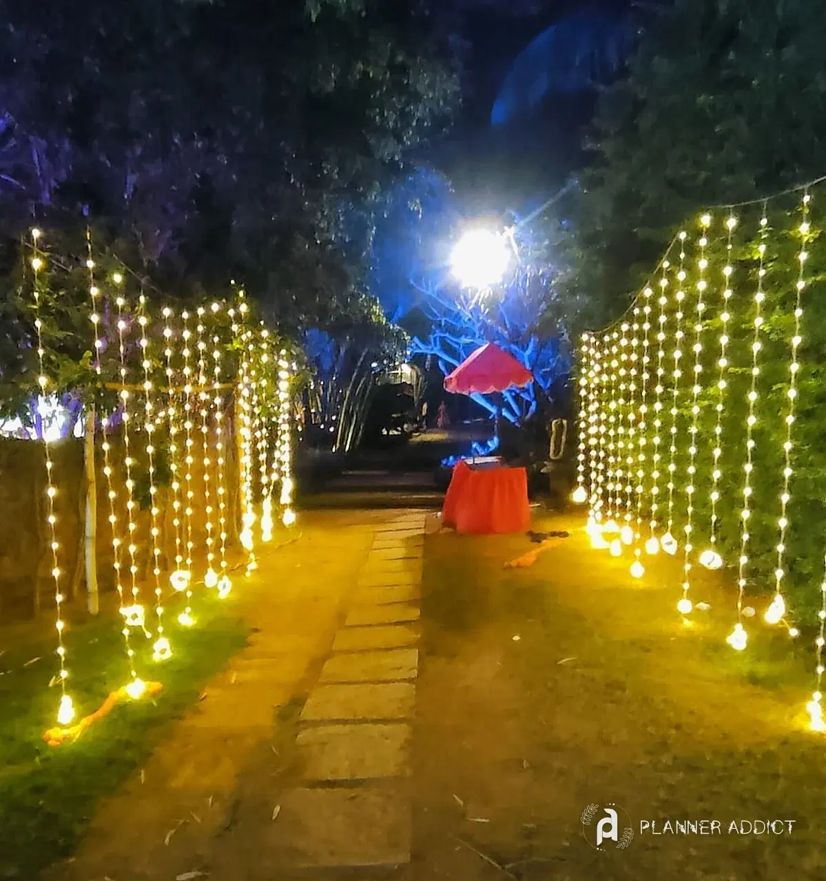 Garden path lined with curtain lights