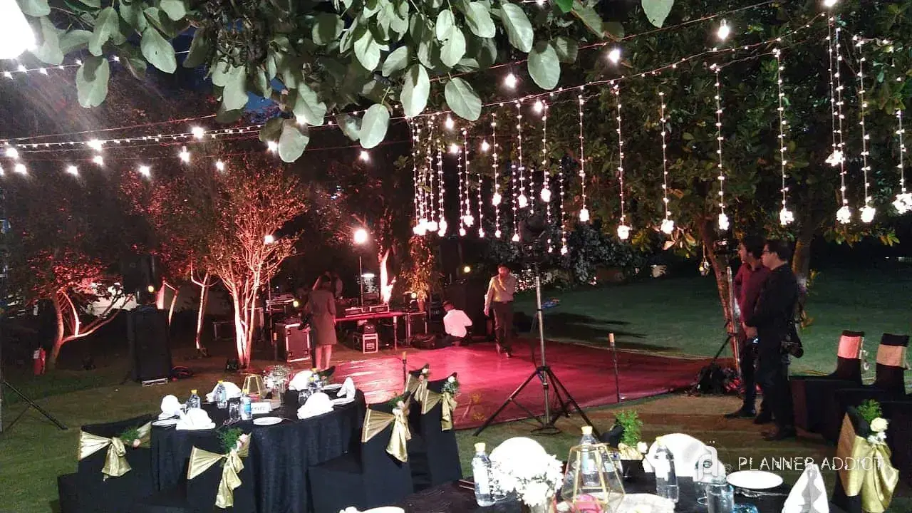Garden lawn under string lights and hanging bulbs