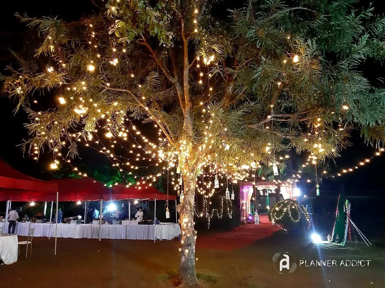 Tree covered in fairy lights above tented food counters
