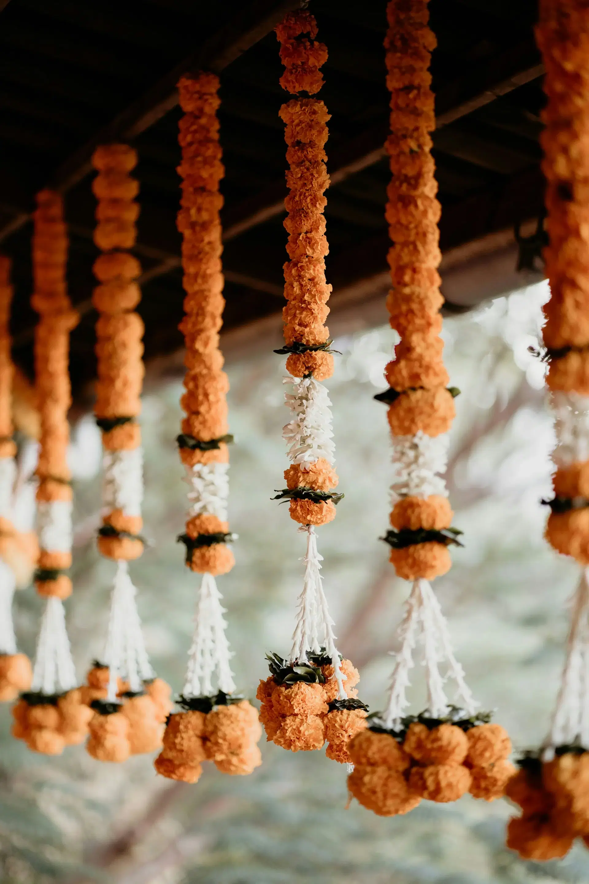 Strings of orange marigold and white jasmine hanging in a row